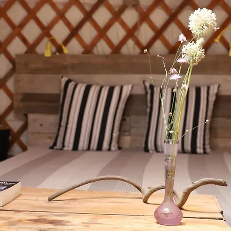 Glamping Cucunci Rural Glamping Yurta&Bivacco *
